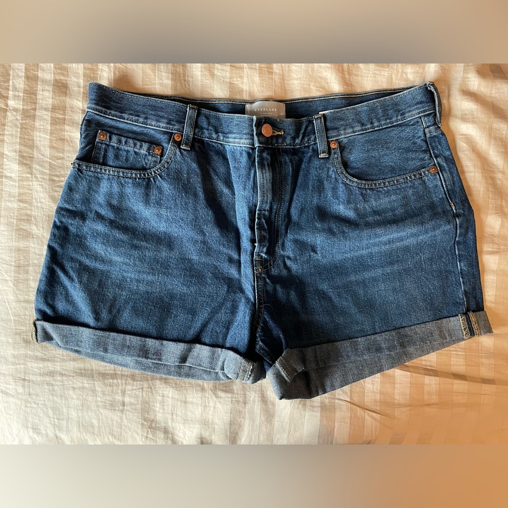 Everlane the Denim Short